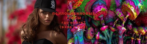 MESCALINE Алзамай