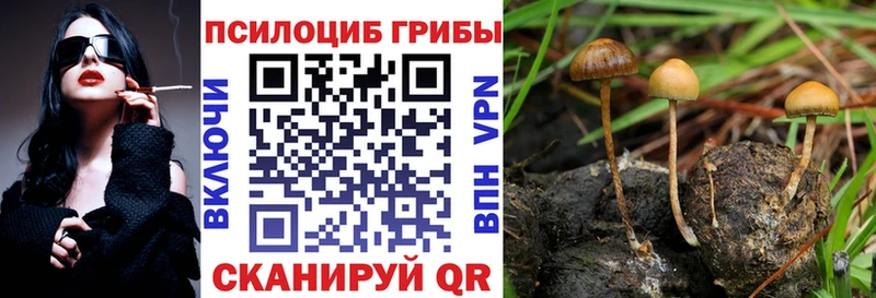 shop как зайти  цена   Нытва  Псилоцибиновые грибы ЛСД  mega как войти 